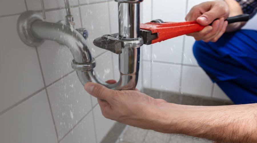 Professional Leak Detection Services in Albion, WA